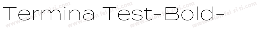 Termina Test-Bold字体转换